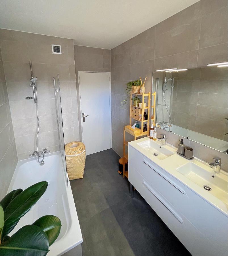 Appartement Tres Cosy A 5 Min Aeroport Geneve Ferney-Voltaire Exterior photo