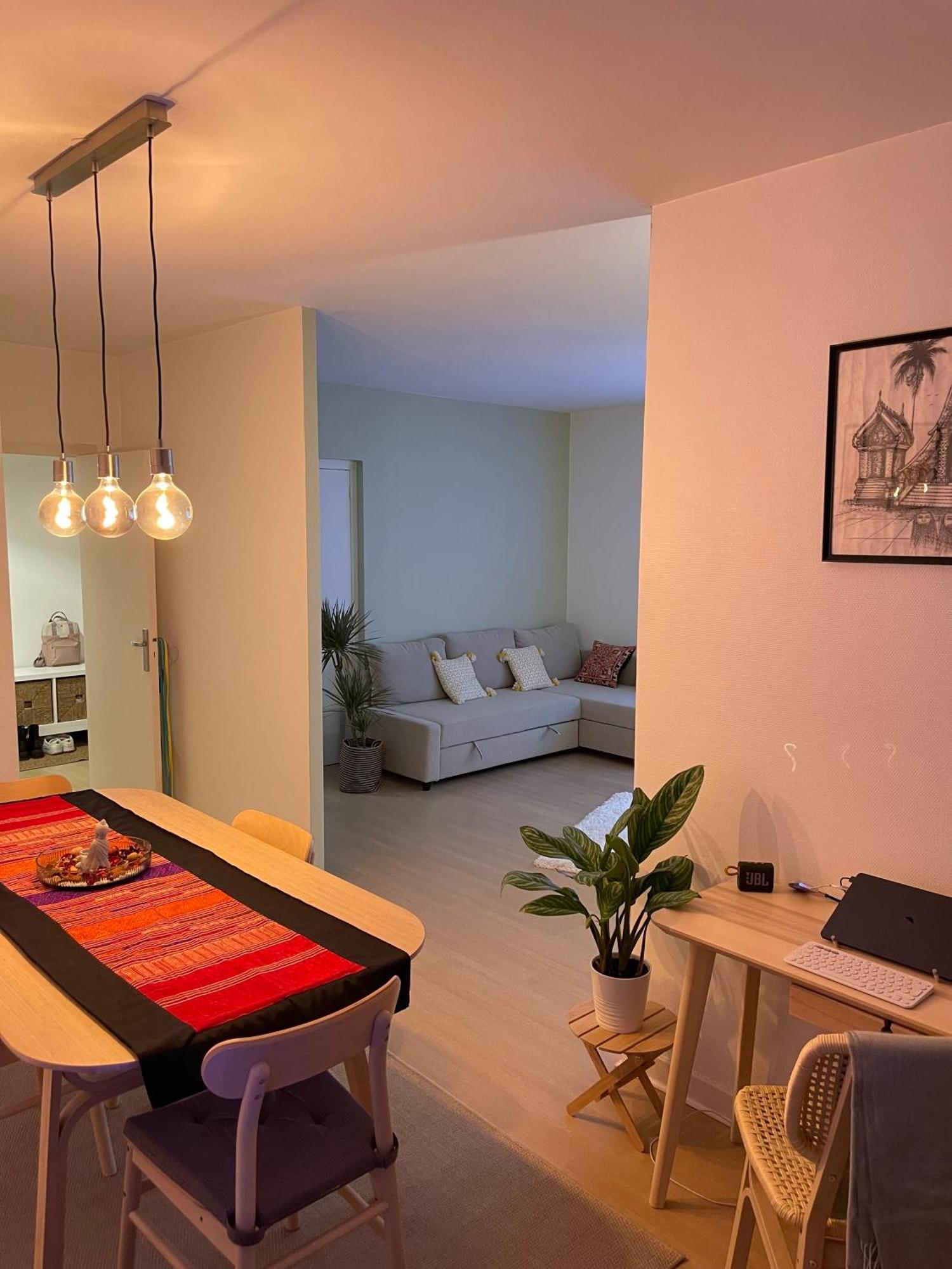 Appartement Tres Cosy A 5 Min Aeroport Geneve Ferney-Voltaire Exterior photo